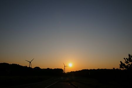 DSC_0269