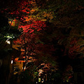 Photos: 『秋の道標。。。』～京都 貴船神社～