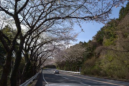 20110417_075625