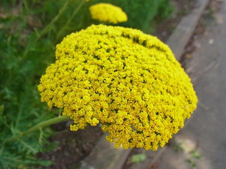 R0014674