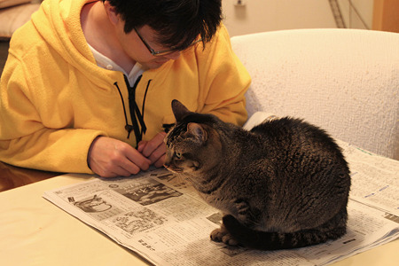おじゃま猫