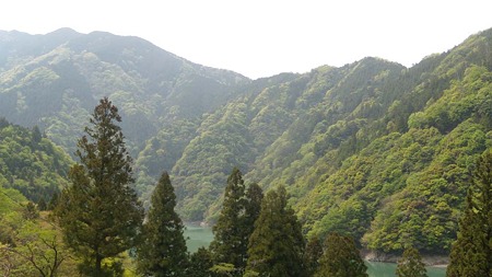 DSCN3286