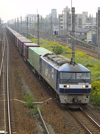 DSC02406