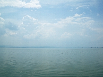 IMGP2453