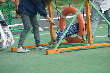 DSC03254