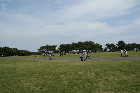 DSC08540