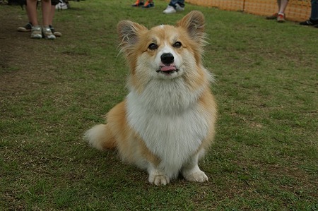 DSC00557