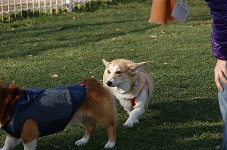 DSC06702