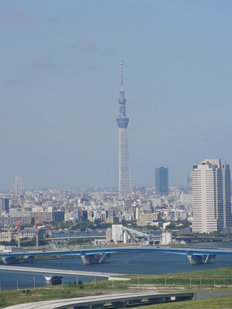 DSC00647