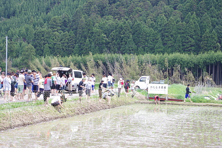 画像 006