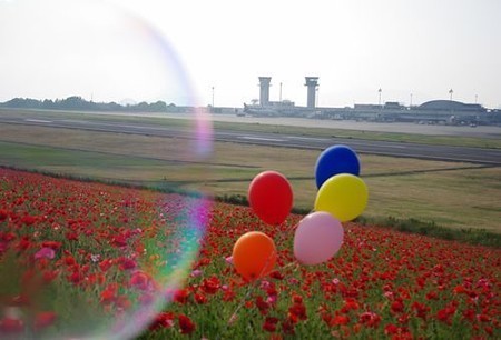 IMGP5121_0603