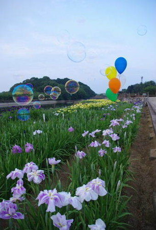 IMGP5531_0708
