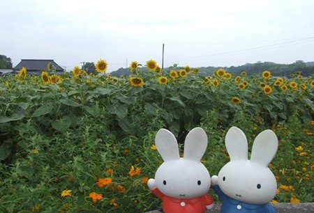 DSCF6422_0714