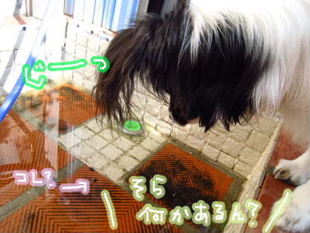 PIC00023
