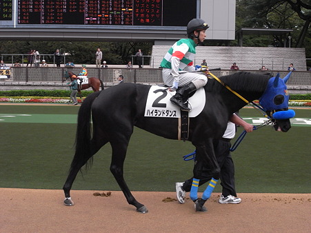 ハイランドダンス　2010年11月1日　1R 2歳未勝利