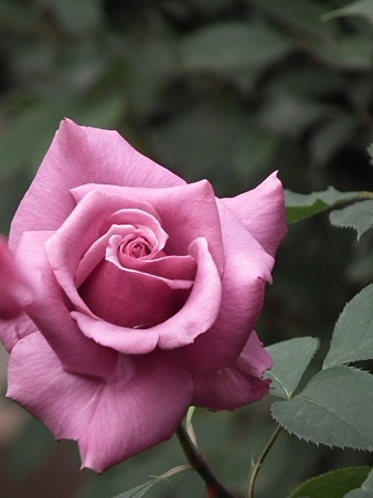 DSCF0757