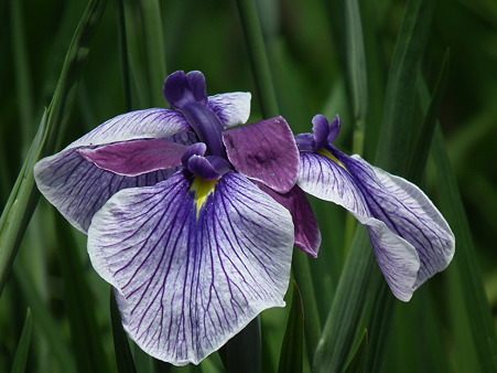 DSCF0139