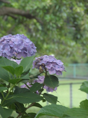 2011_06260104