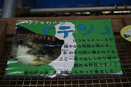 katurahama110311003