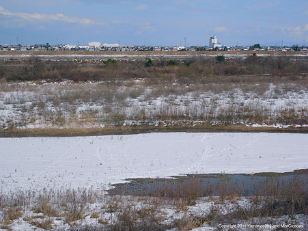 2011年1月3日 手取川