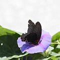 IMG_1680