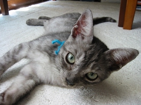 2009.9.10