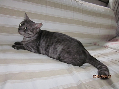 IMG_9169se