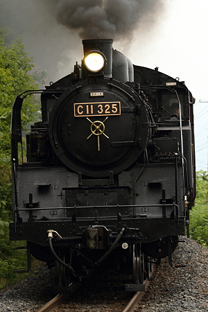 C11　325
