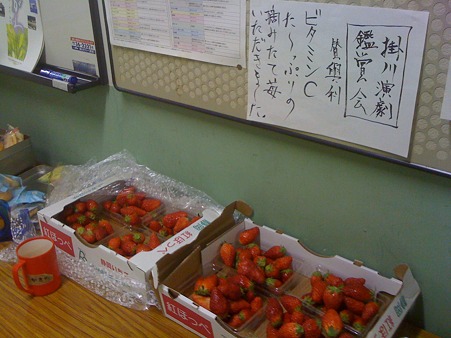 甘くて美味しいイチゴがたくさん