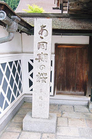 2010年08月14日_DSC_0232