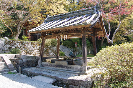 2011年04月17日_DSC_0038
