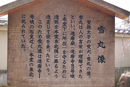 2011年04月17日_DSC_0133