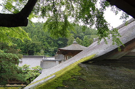 2011年08月14日_DSC_1033雷山観音 千如寺大悲王院