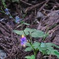 Photos: 20110812_074112