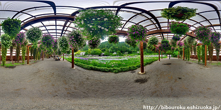 加茂菖蒲園 パノラマ写真　(6)露出合成　360°×180°