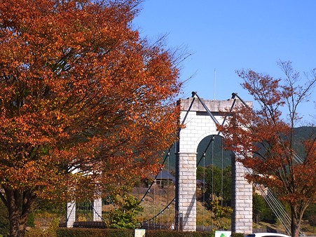 秦野戸川公園