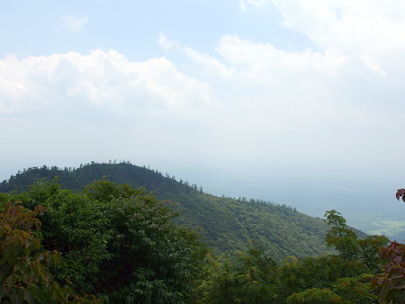 P6290357e