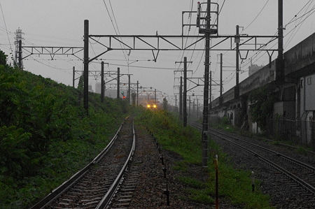 IMGP5274