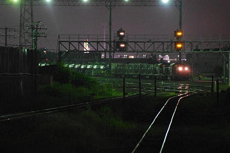 IMGP2567