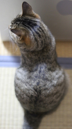 ナツさん背中
