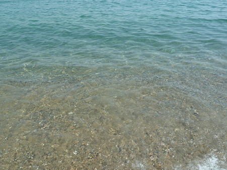 P1050869