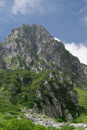 IMGP3973