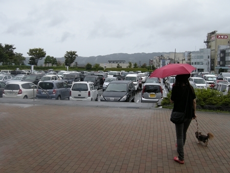 DSCN0800