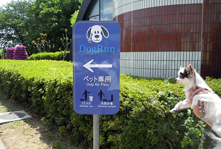 DSCN2577