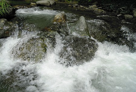 DSCN3446