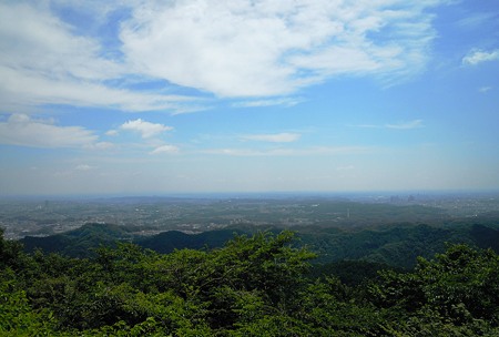 DSCN3501