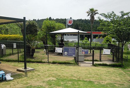 DSCN3000