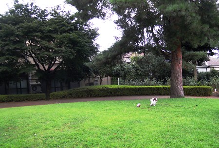 DSCN3465