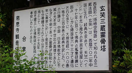 DSC00431
