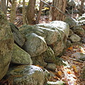 Old Stone Walls